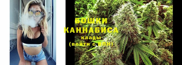 дмт Горно-Алтайск