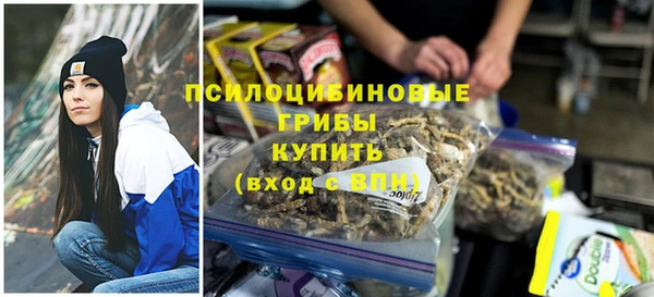 спиды Горнозаводск