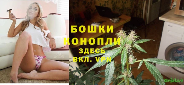 дмт Горно-Алтайск