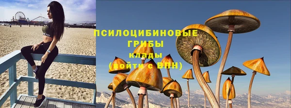 дмт Горно-Алтайск