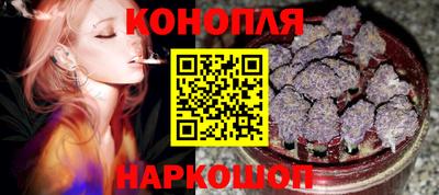 гашик Можга