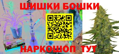 гашик Можга