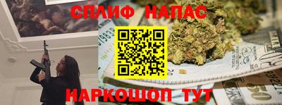 гашик Можга