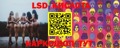 гашик Можга