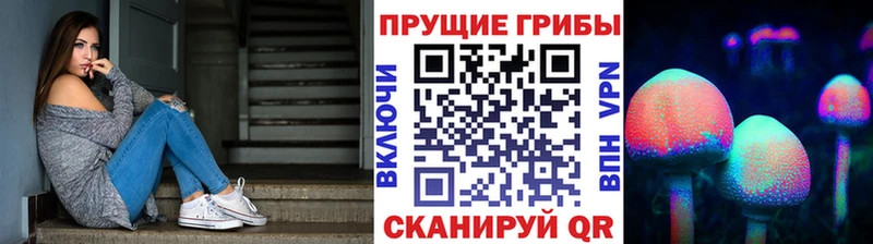 Галлюциногенные грибы MAGIC MUSHROOMS  hydra сайт  Георгиевск  дарнет шоп 