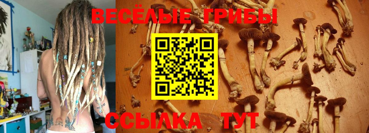 Галлюциногенные грибы прущие грибы  Вход с VPN  Галлюциногенные грибы мухоморы  Георгиевск 