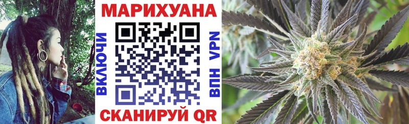 где продают наркотики  Георгиевск  Каннабис семена 