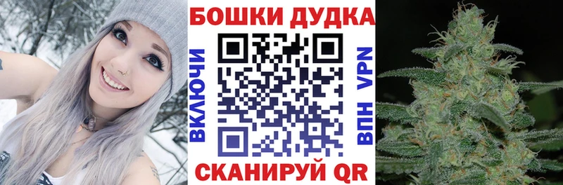 Бошки марихуана ГИДРОПОН Георгиевск